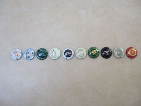 capsules de champagne Saint-Contest (14)