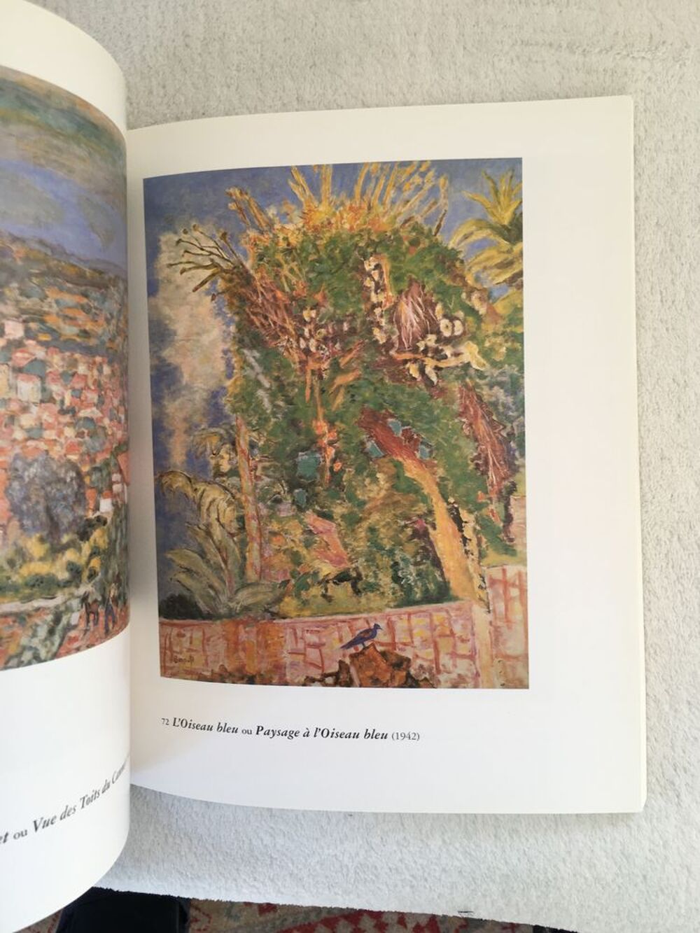 Lot de 8 livres d'art sur la Peinture (Lautrec, Renoir,...) Livres et BD