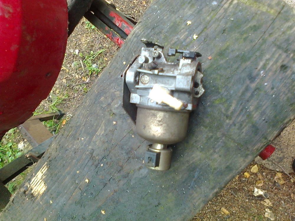 carbu 15 cv Jardin