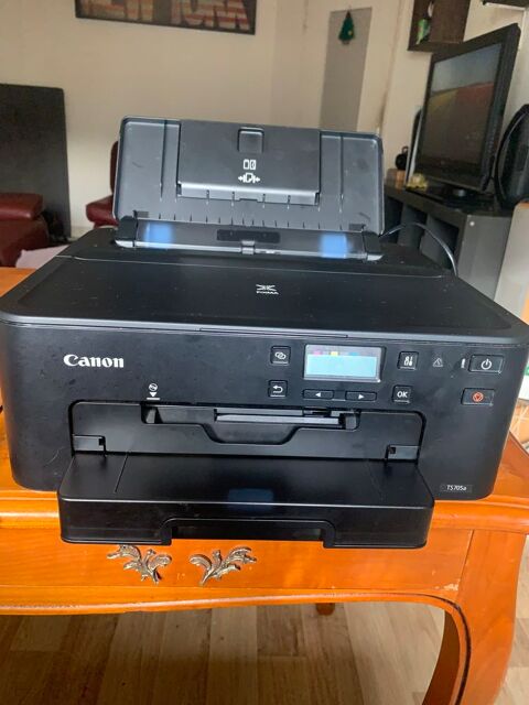 Imprimante canon ts705a 30 Vienne (38)