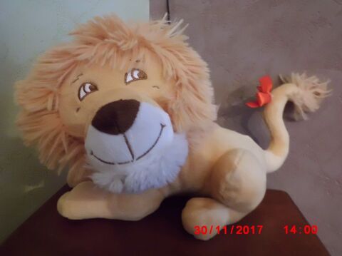 LION DOHO 16 Oignies (62)