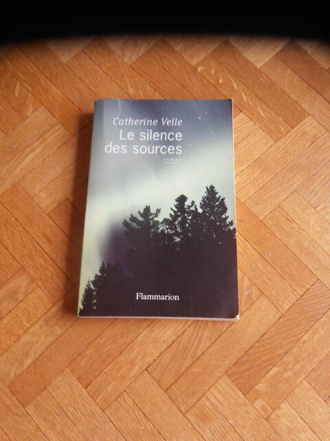 Le silence des sources (89) 3 Tours (37)