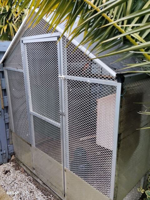 de voli&egrave;res avec oiseaux 1200 85150 Saint-mathurin