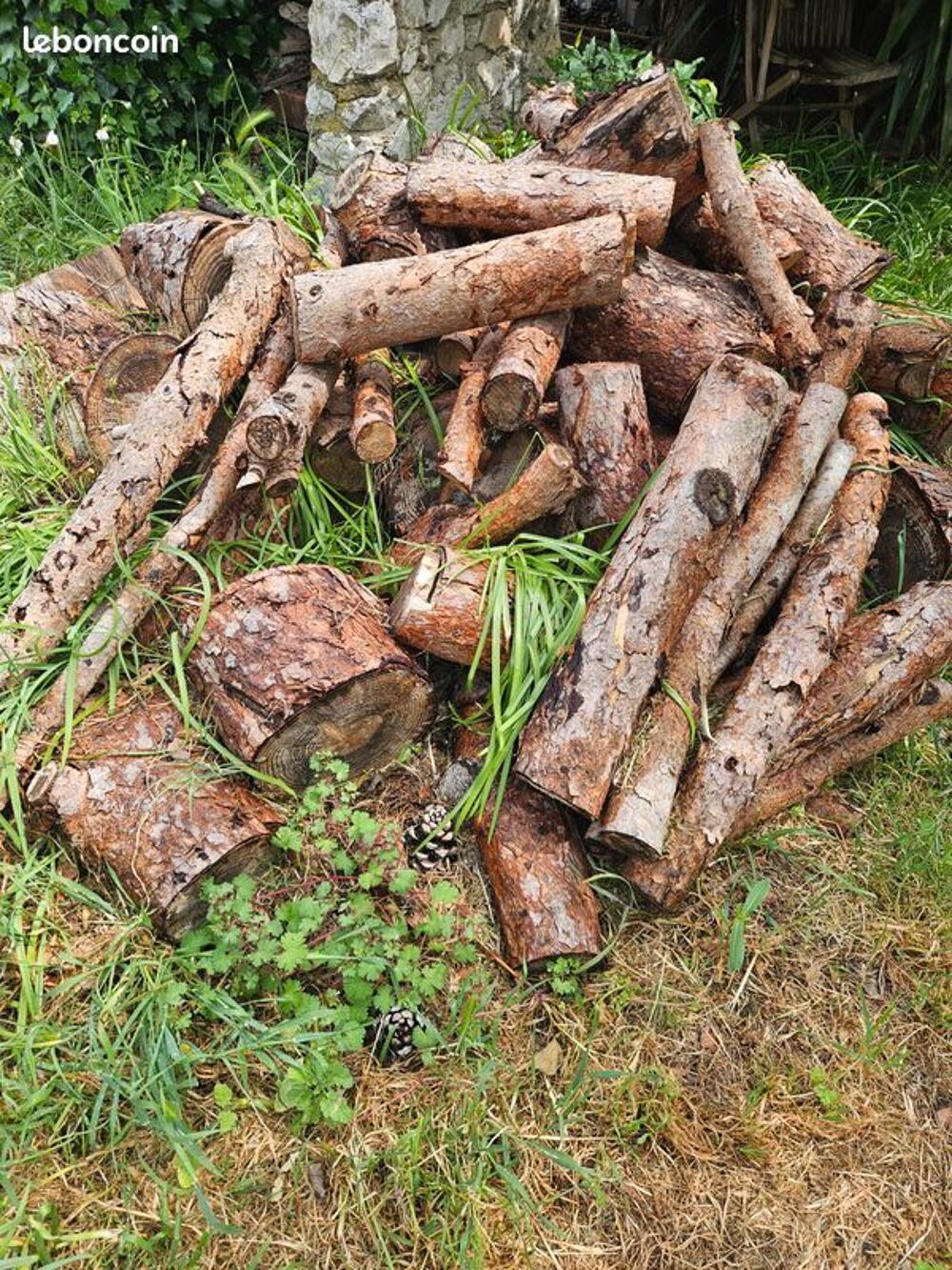 Bois de pin Bricolage