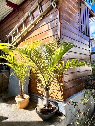  Maison � vendre 3 pi�ces 103 m�