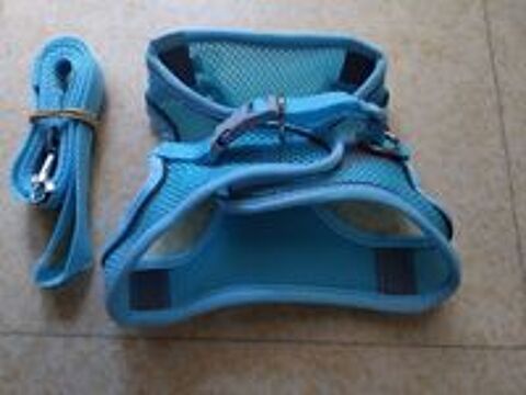   Harnais+ laisse pour chien ? 
