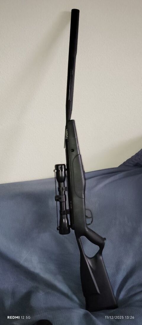 carabine � plombs sans d�claration en pr�fecture 160 Lesparre-M�doc (33)