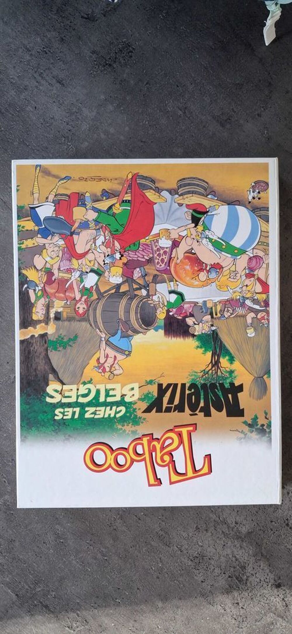 jeu de soci&eacute;t&eacute; Jeux / jouets