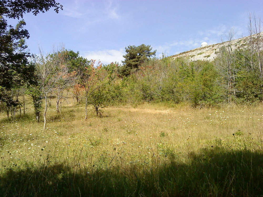 Vente Terrain Terrain non constructible à Caussols (06) Caussols
