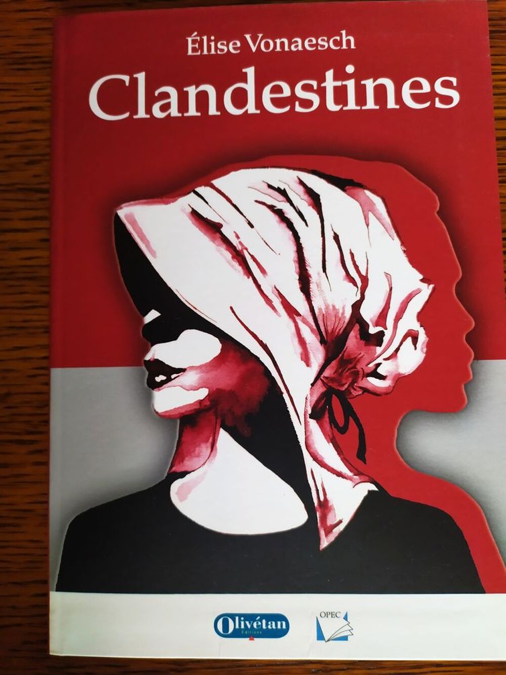  Clandestines d'&Eacute;lise Vonaesch Editions Oliv&eacute;tan Livres et BD
