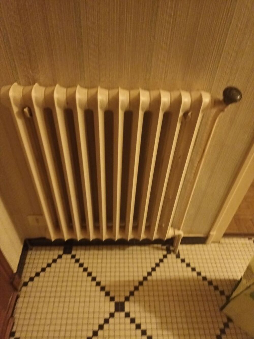 RADIATEURS EN FONTE Bricolage