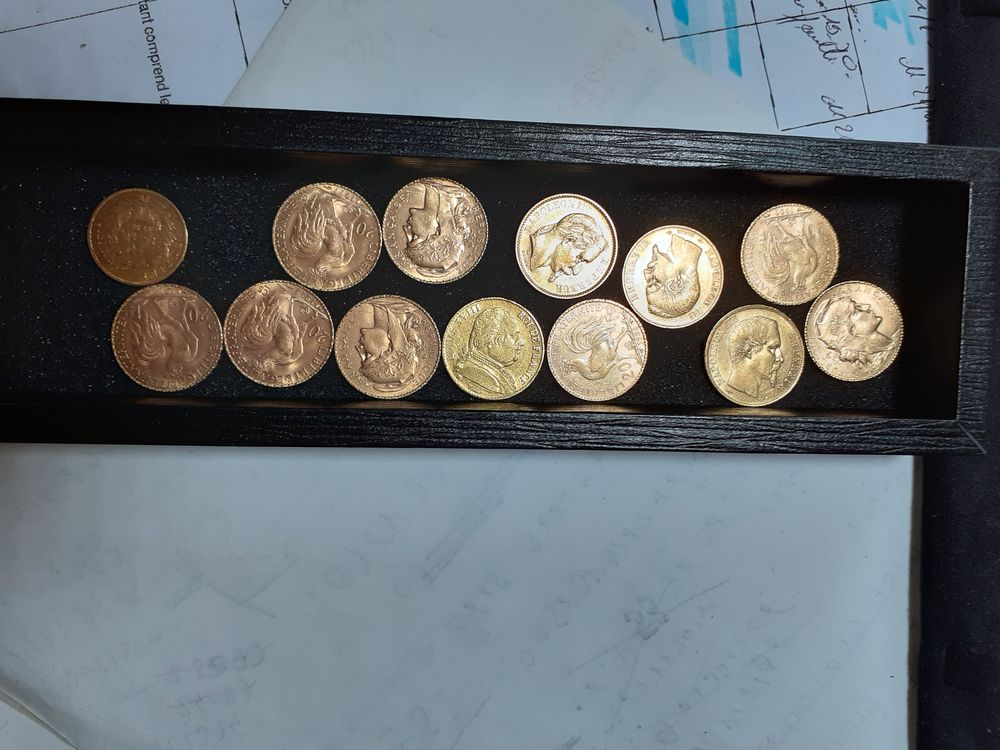 Pi&egrave;ces 20 francs or Bijoux et montres