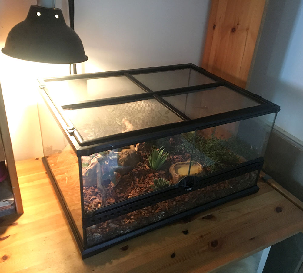 Terrarium &eacute;quip&eacute; pour serpents des bl&eacute;s Meubles