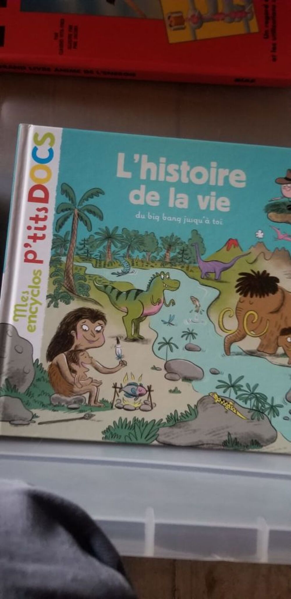 livres enfant Livres et BD