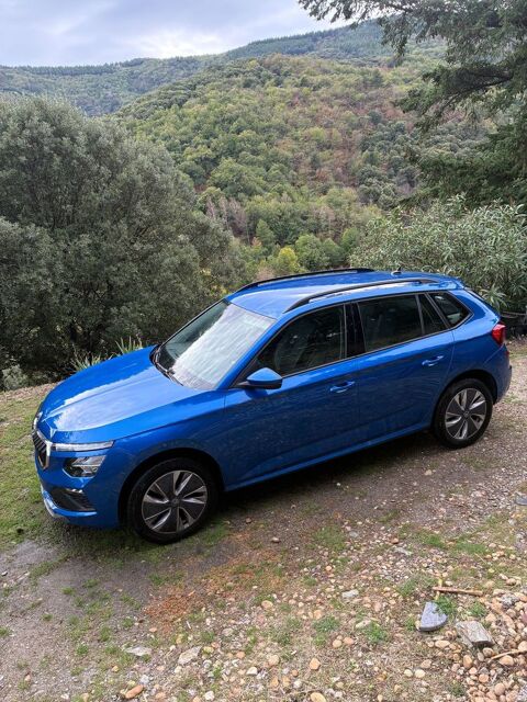 Skoda Kamiq 1.0 TSI Evo 2 116 ch BVM6 Selection 2025 occasion Saint-Martin-de-Lansuscle 48110