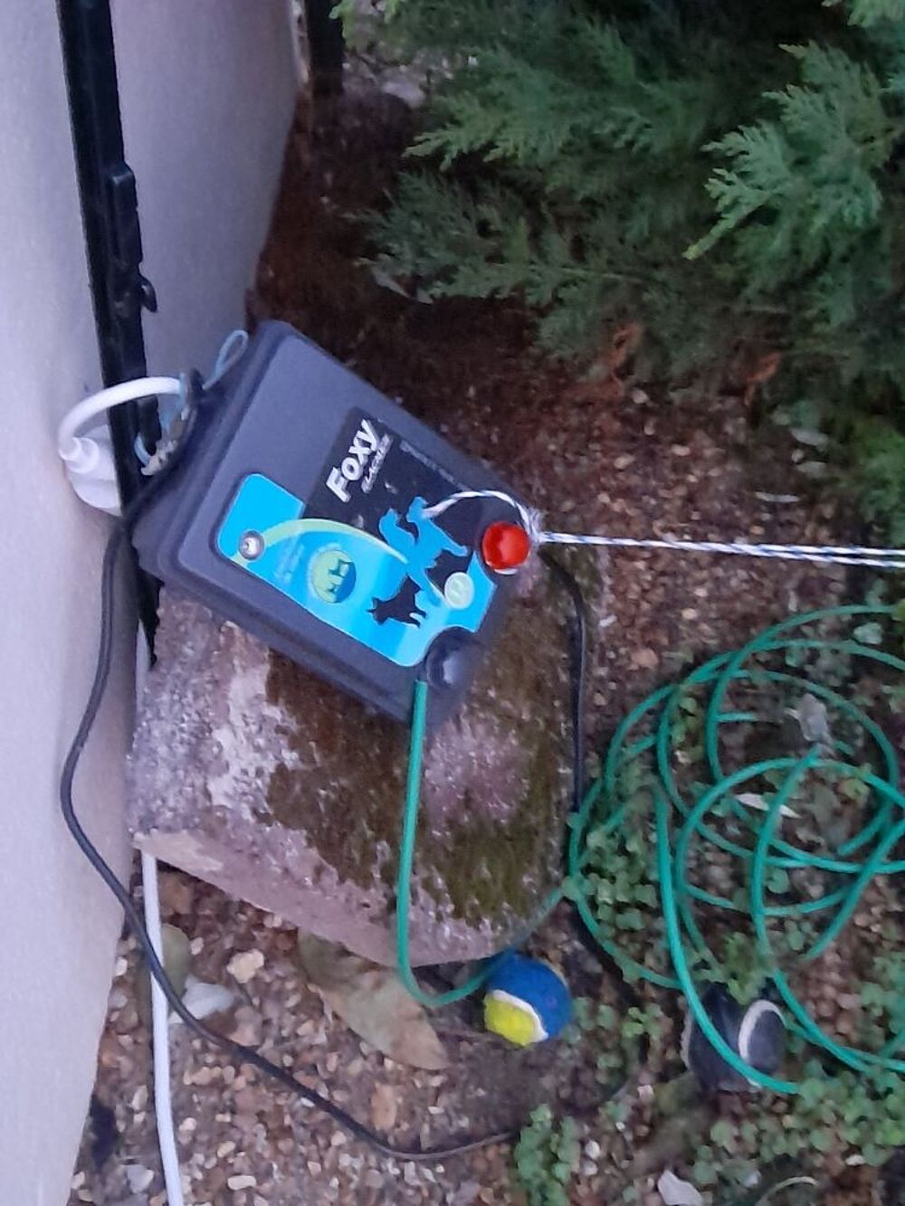 Cl&ocirc;ture &eacute;lectrique achet&eacute; en Ao&ucirc;t 2021 Jardin