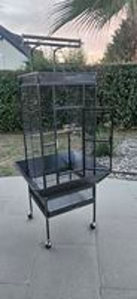   Cage perroquet ou perruches  