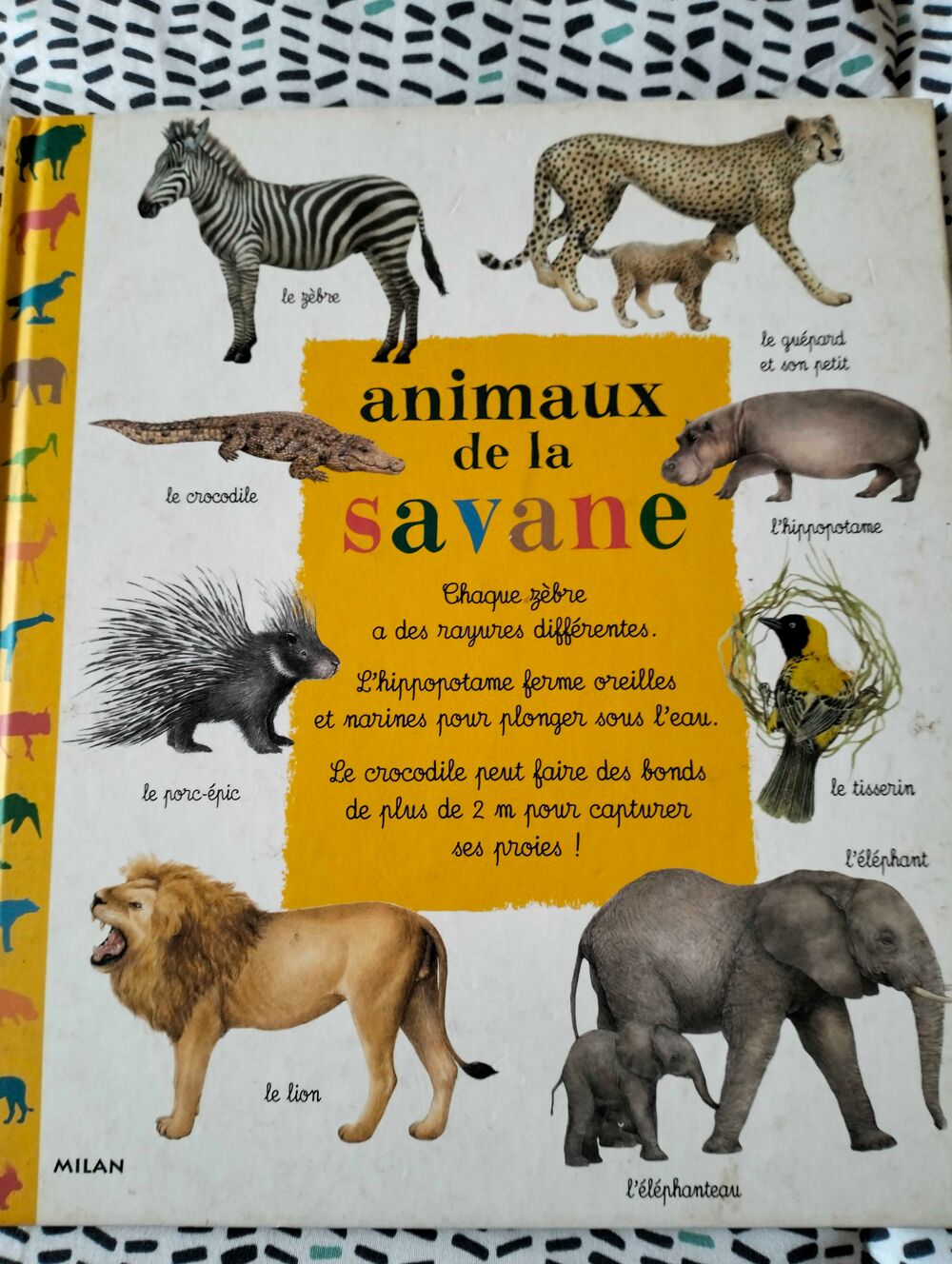 animaux de la savane Livres et BD