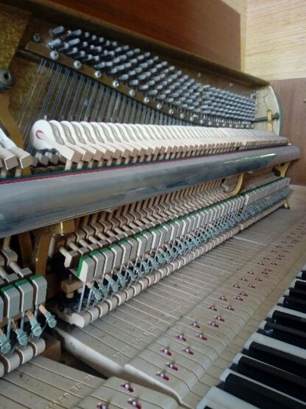 piano d'etude RIPPEN 8 octave Instruments de musique
