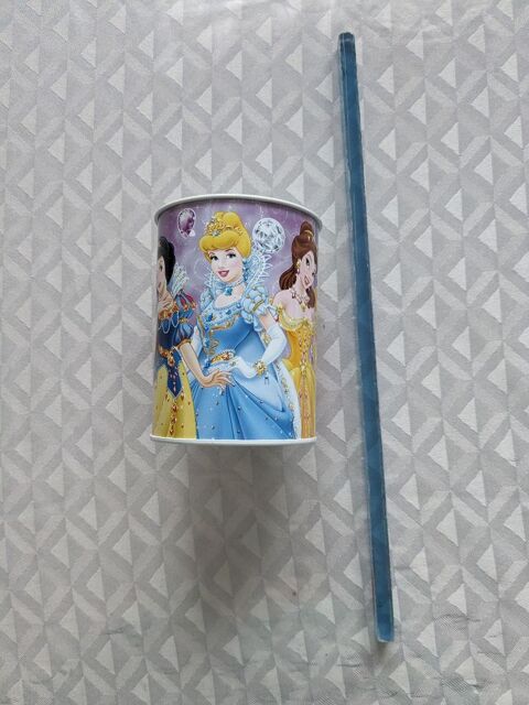 Pot  crayons Princesses Disney 2 Aurillac (15)