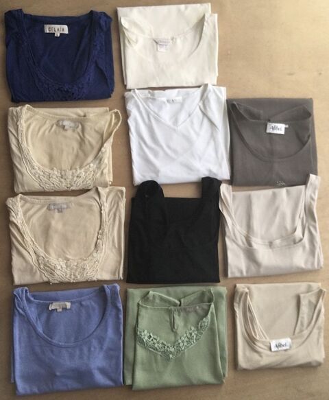 Lot de 11 débardeurs pour femme  taille : 54 /56 .
Lannion (22)