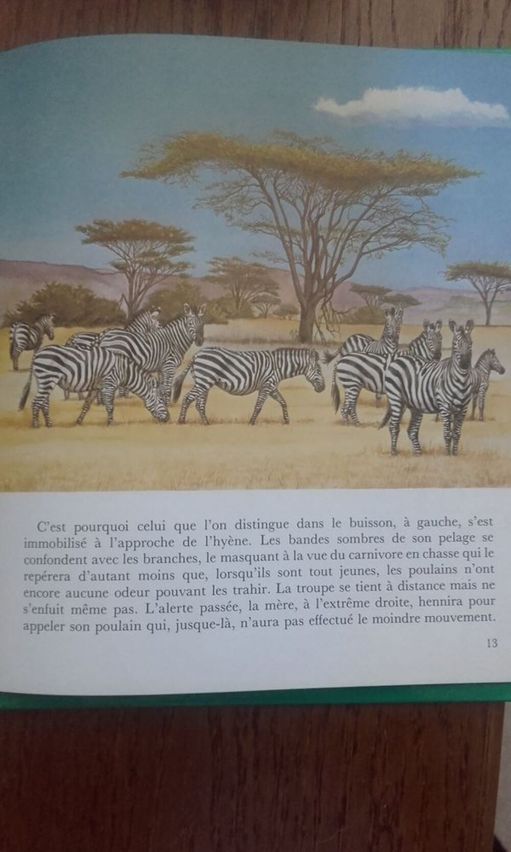 livre pour enfants
Mon ami le z&egrave;bre Livres et BD