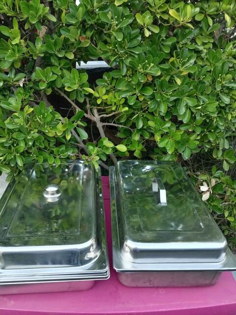 3 bacs gastronomiques pour cuisiner inox 53 X 32 X 10 cm 
50 Agde (34)