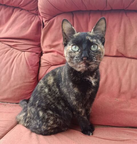 DEISI 185 27620 Gasny