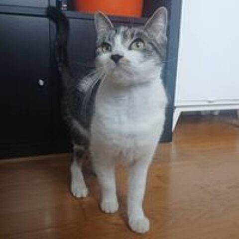   Louisa 