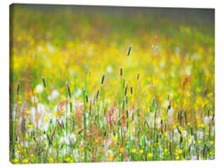  Terrain � vendre 800 m�