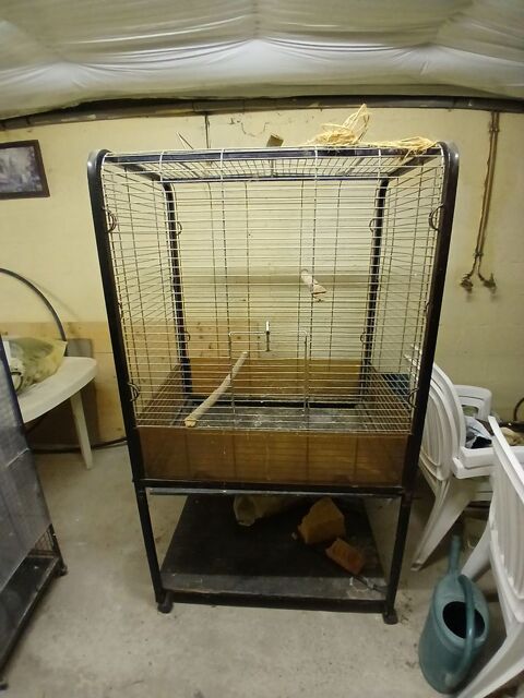 2 cages  perroquet 30 27450 Saint-Étienne-l'allier