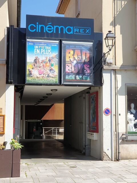 2 places de cinéma au choix au cinéma Rex de Benfeld 1 Benfeld (67)