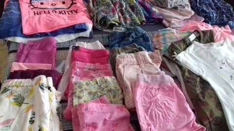 Pour puces 0 Toulon (83)