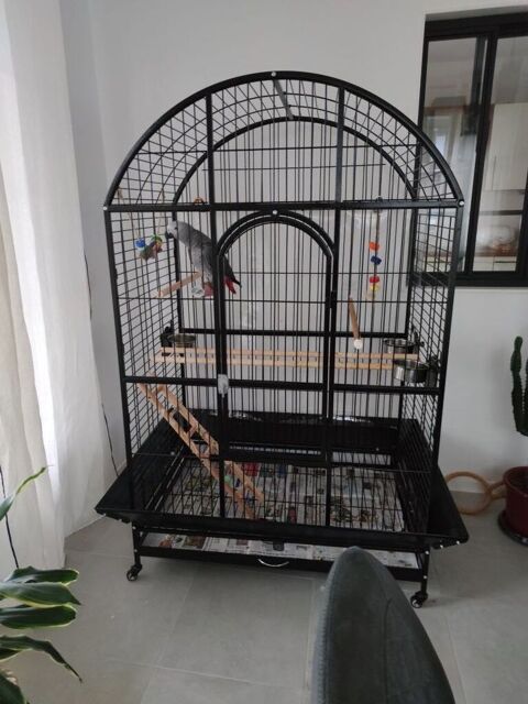 Cage pour perroquet 67450 Lampertheim
