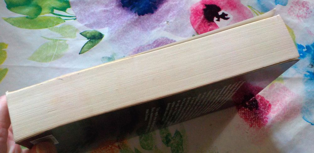 L'OEIL DU FAUCON de Wilbur SMITH Ed. Presses de la Cit&eacute; Livres et BD