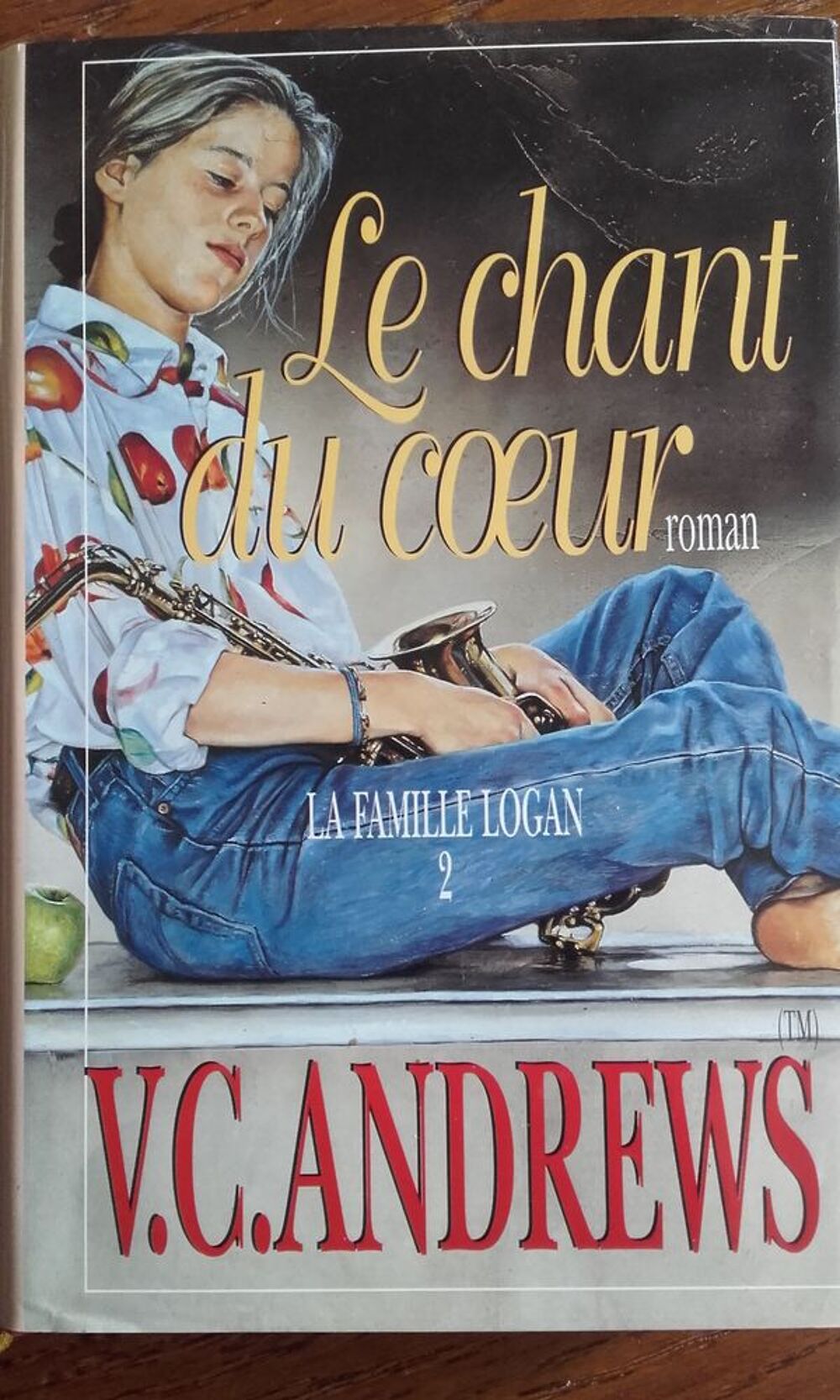 Livre de V.C ANDREWS Livres et BD