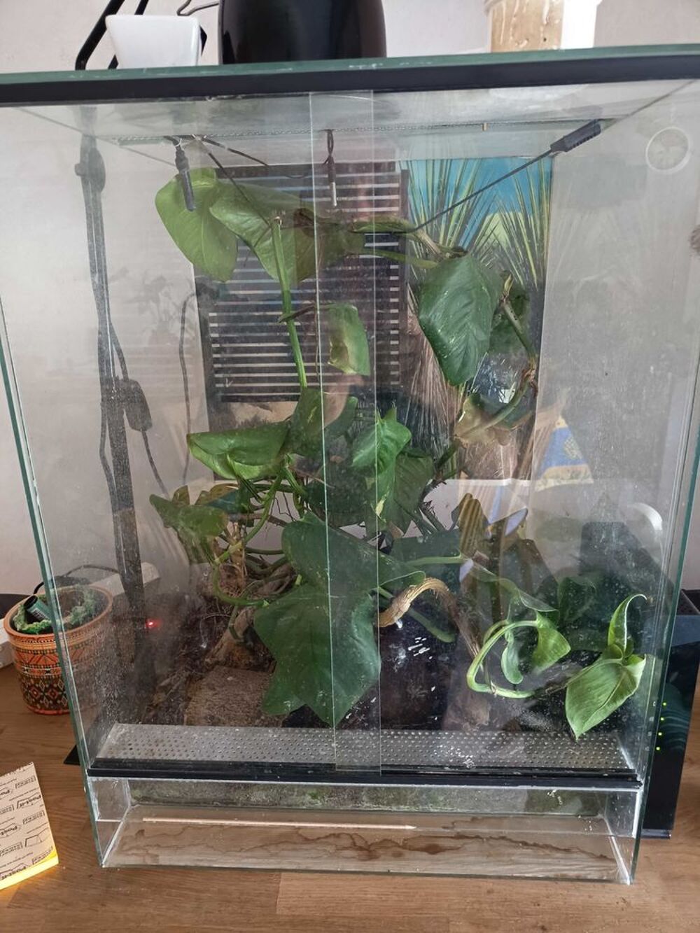 terrarium Meubles