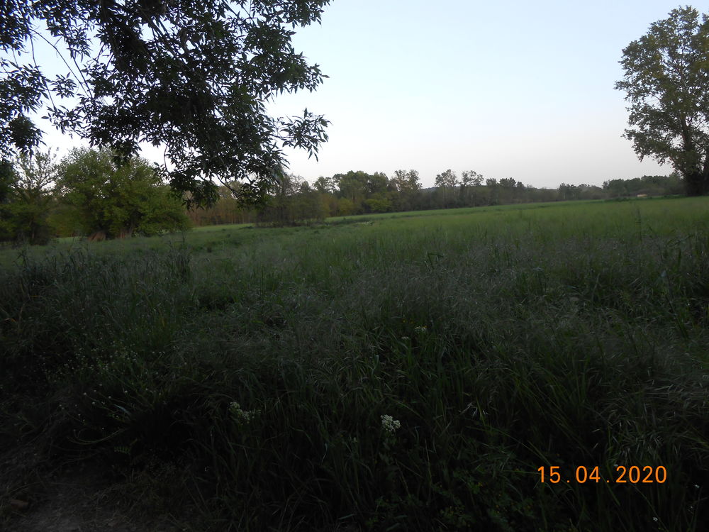 Vente Terrain terrain agricole ou de loisirs de 26180m2 Saint-christol-ls-als