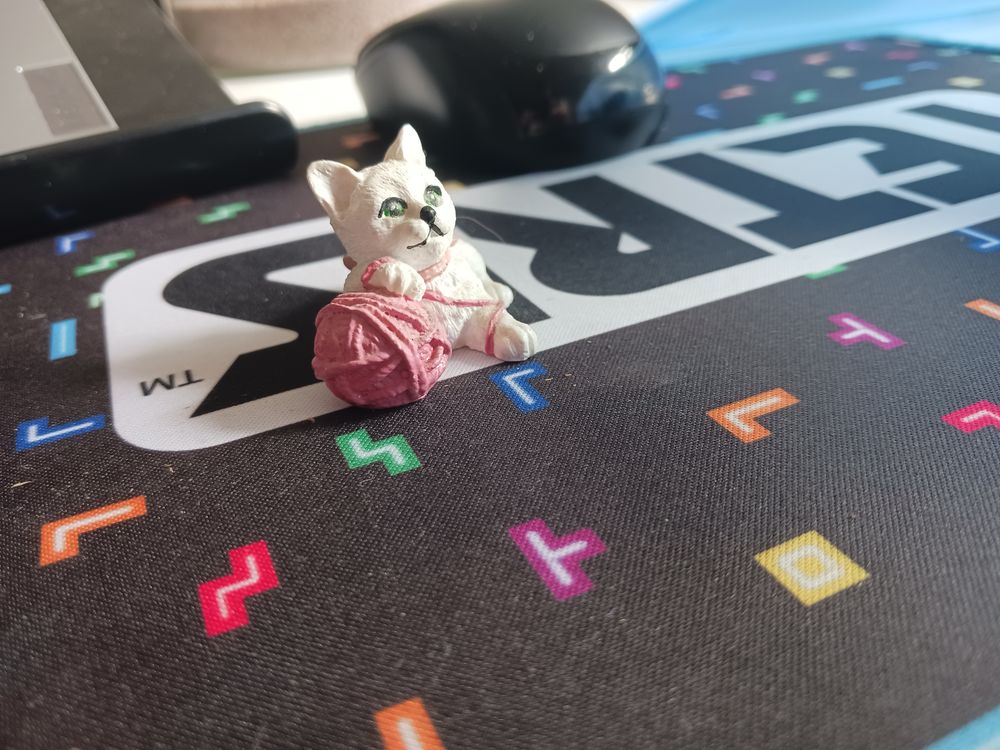 chat et sa pelote de laine rose 