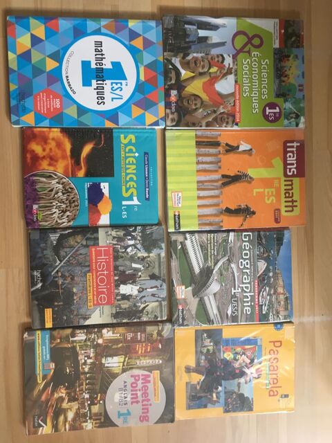 Lots de 8 manuels scolaires de premire ES 35 Le Teich (33)