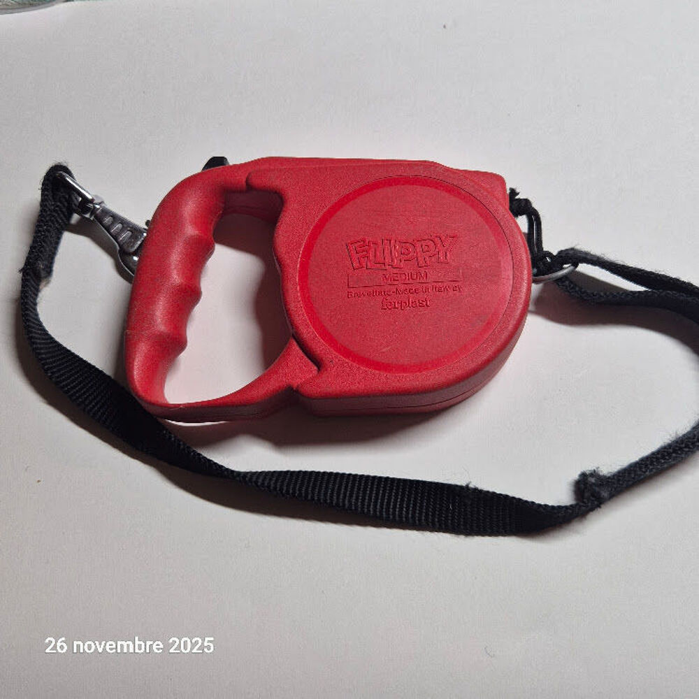 Laisse r&eacute;tractable en nylon pour chien de compagnie, pour pe Bricolage