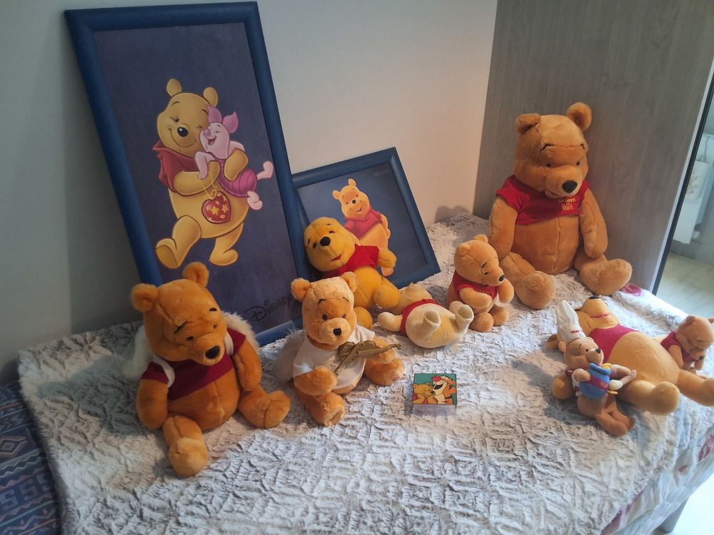 Peluches et cadres Winnie Jeux / jouets