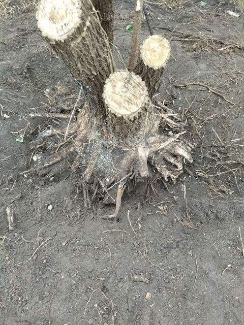 Paysagistes espace vert 0 77130 Montereau-fault-yonne