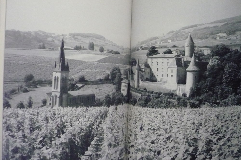 LYONNAIS-BEAUJOLAIS Encyclop&eacute;dies r&eacute;gionales (2011) Livres et BD