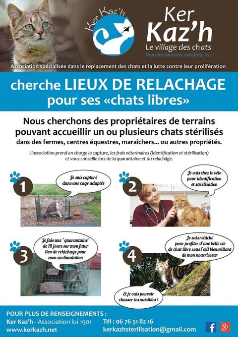  Recherche de lieux de relâche pour chats (fermes, maison à la campagne, entreprises...) 0 56100 Lorient