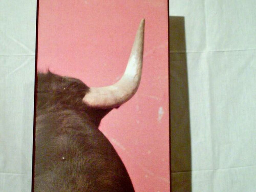 TAUROMACHIE : " LA CORNE DROITE " Décoration
