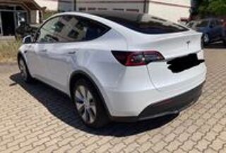 Model Y MODEL Y Standard RWD 2024 occasion 59000 Lille