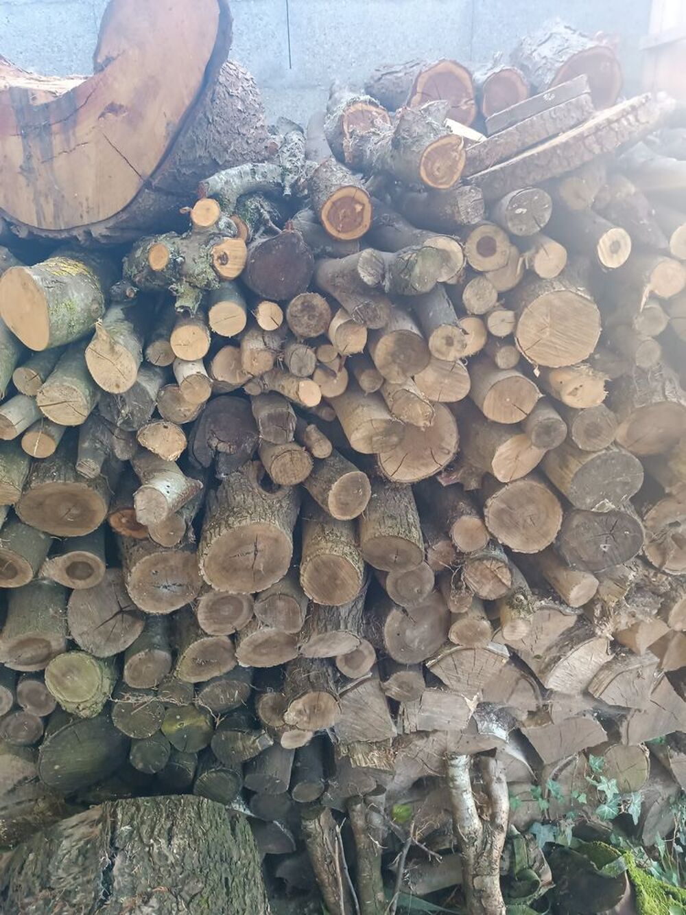 Bois de chauffage Jardin