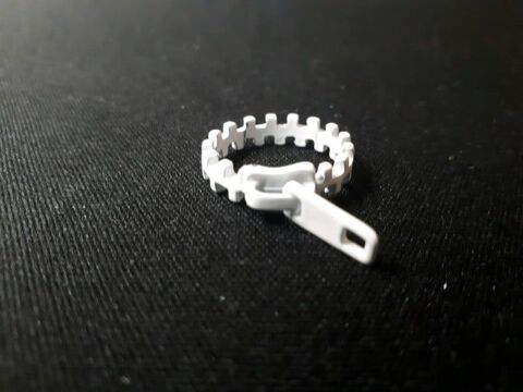 Bague original T50 1 La Fert-sous-Jouarre (77)