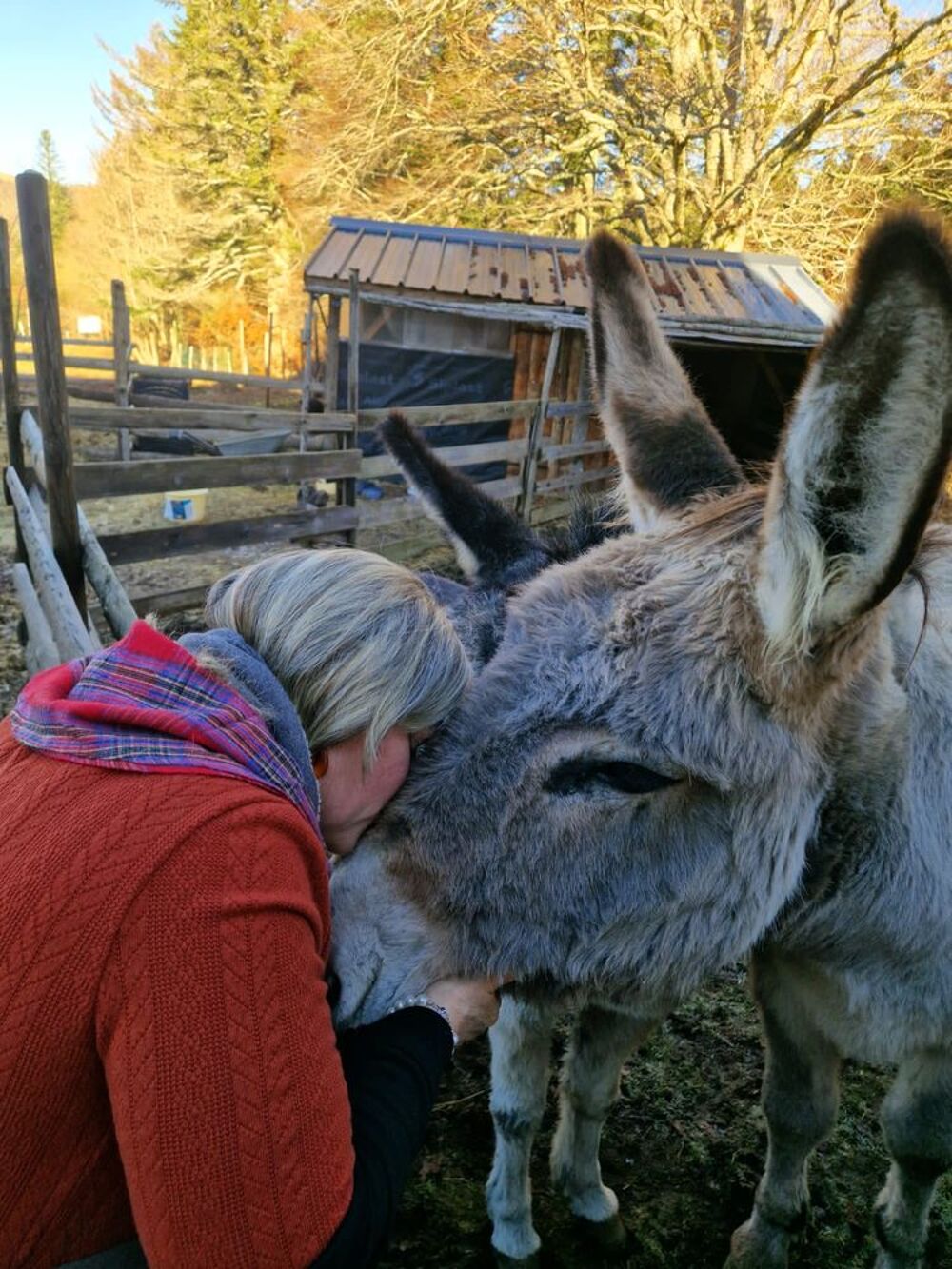   2 gentilles annesses  inseparables  
